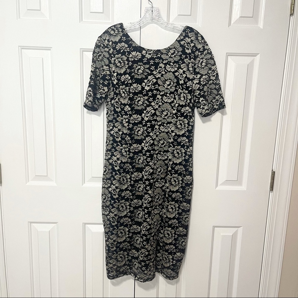 NWT Alfani Lace Winter Rose Dress